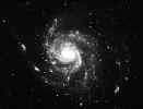 M101.jpg (12669 bytes)